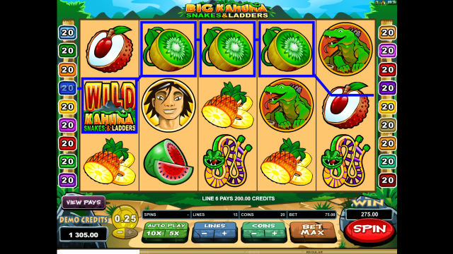 Big Kahuna Snakes And Ladders 7